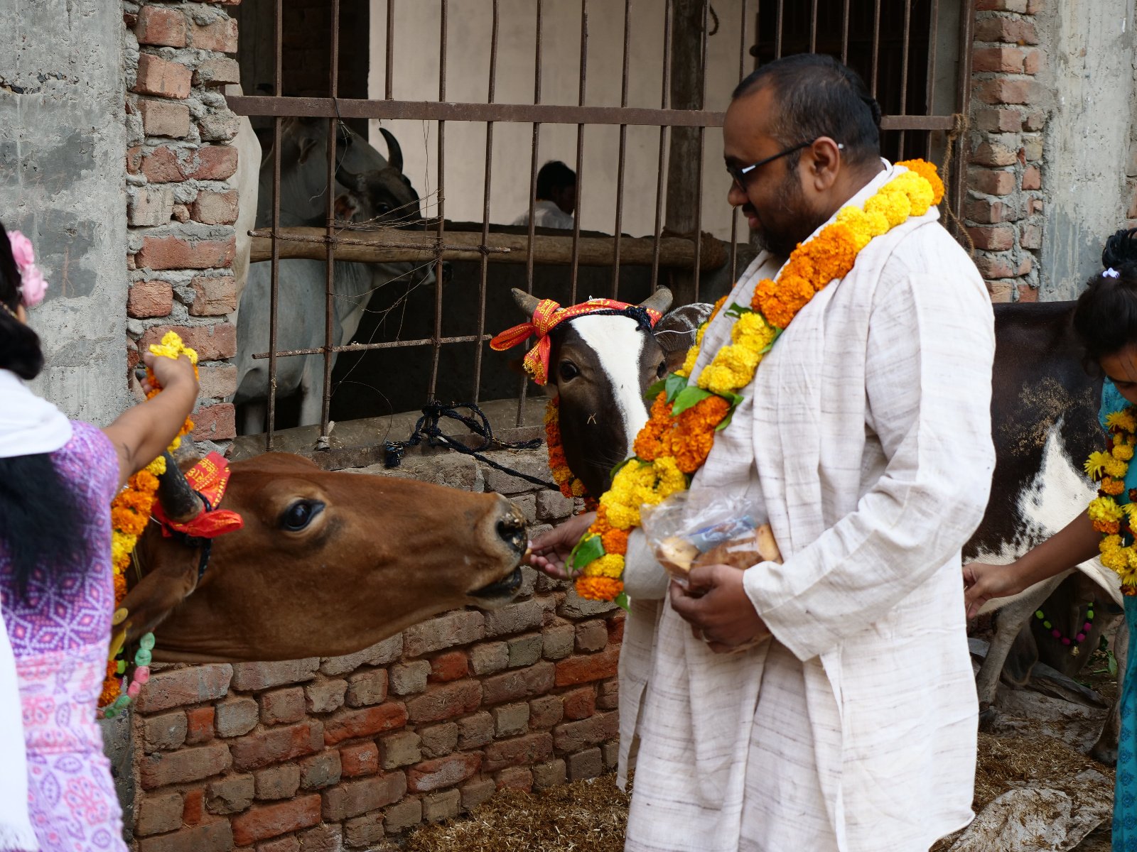  52 Gopashtami Radha kunda Govardhan 19.11.04